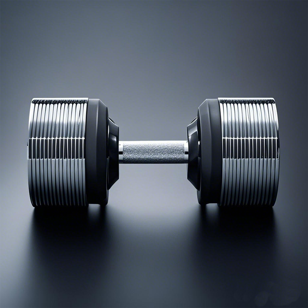 40kg Adjustable Increments Dum - Adjustable Dumbbell Pair 40Kg ulasan dan harga